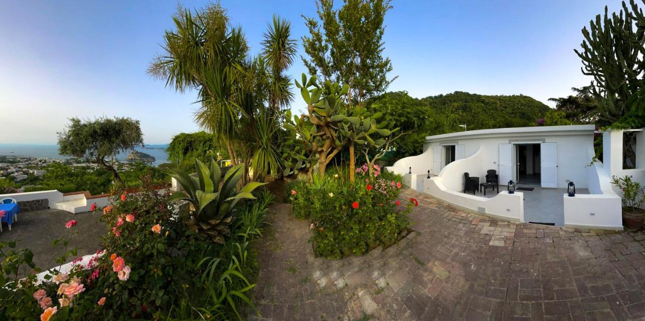 Barracudasuite Ischia Exterior foto