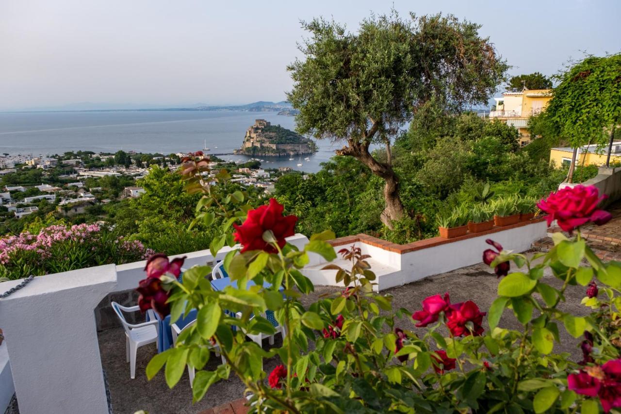 Barracudasuite Ischia Exterior foto